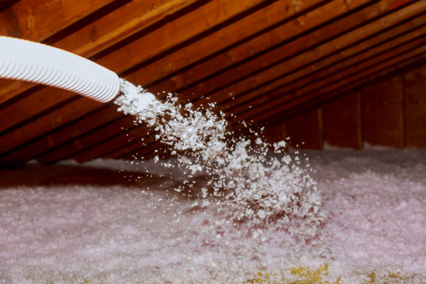 Best Residential Insulation in Las Animas, CO