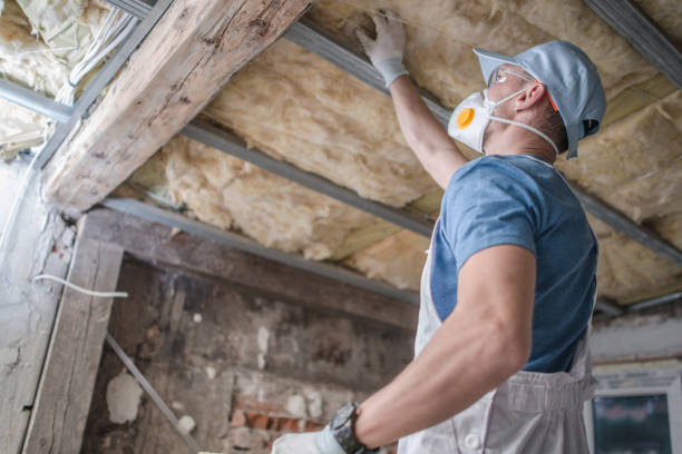 Best Energy Efficiency Insulation in Las Animas, CO