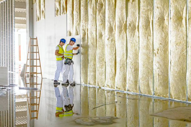 Best Specialized Insulation Services in Las Animas, CO